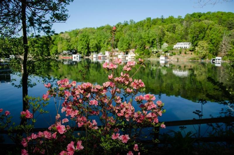 Lodge On Lake Lure Ngoại thất bức ảnh