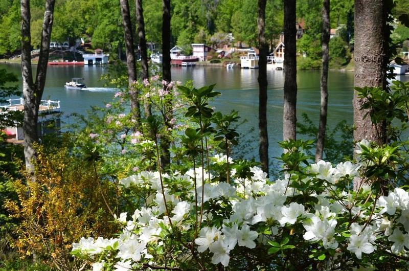 Lodge On Lake Lure Ngoại thất bức ảnh