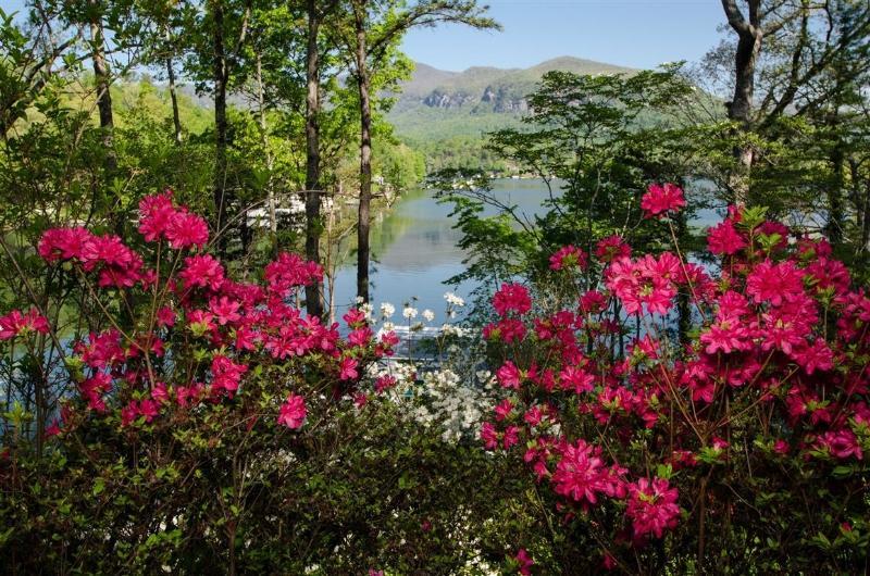 Lodge On Lake Lure Ngoại thất bức ảnh